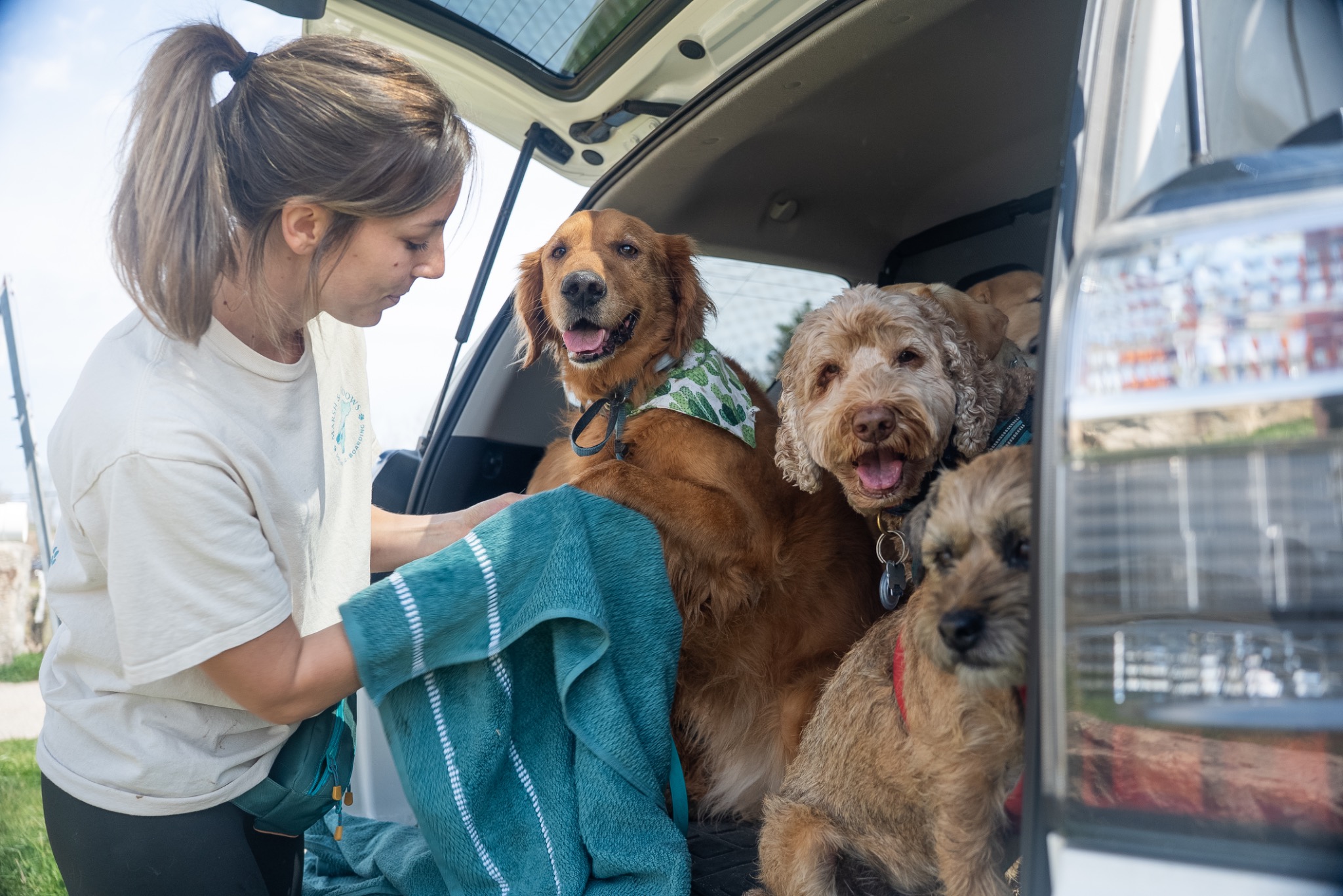 A handler wiping down dogs beside the vehicle after their walk