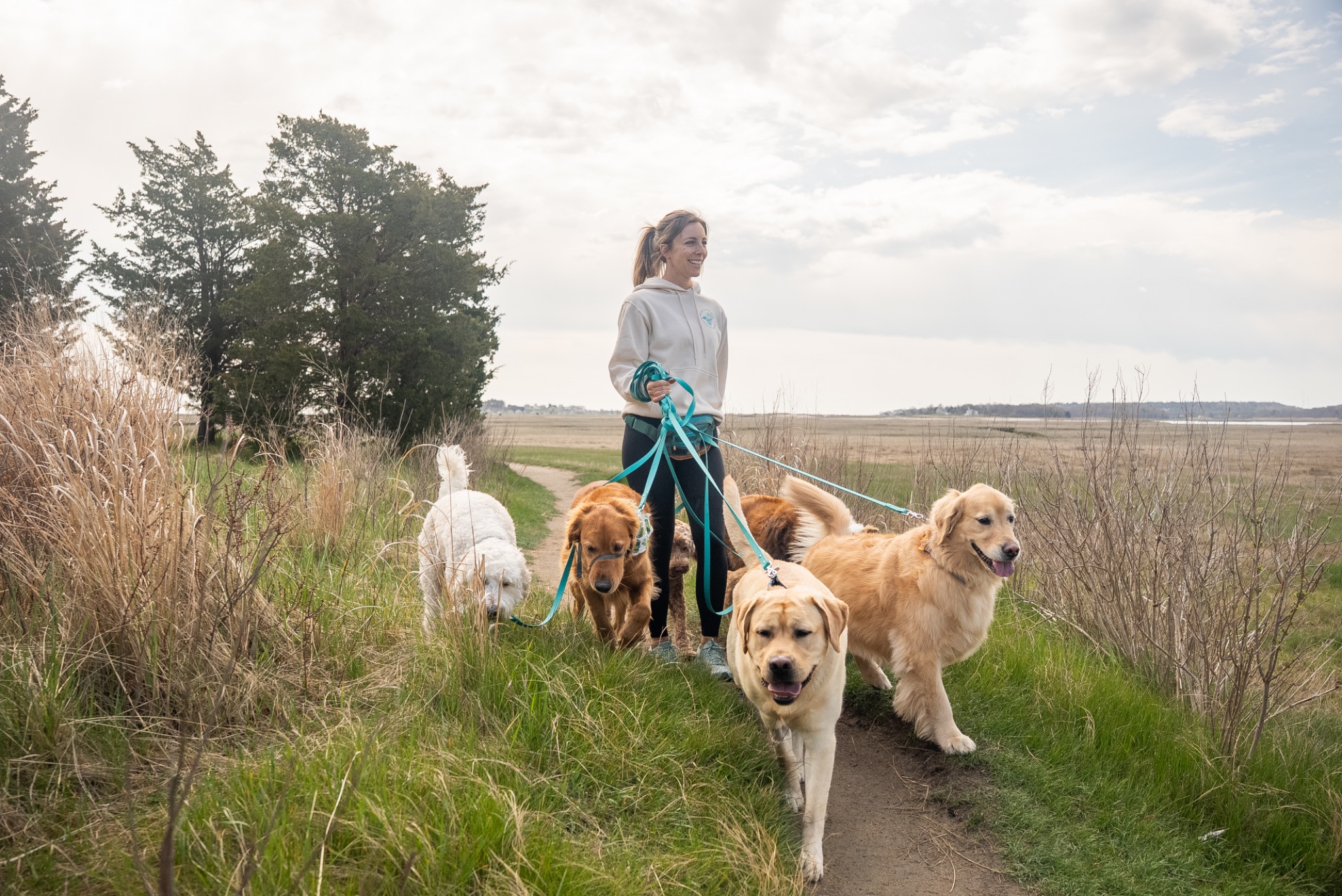 A pack walk through coastal marsh grass